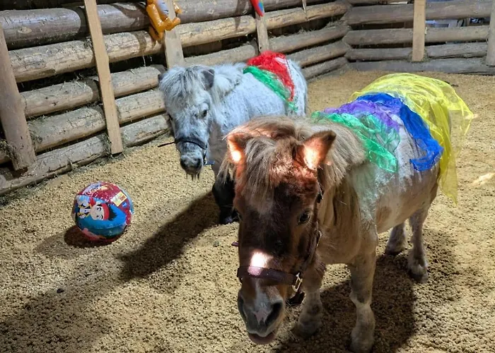 Zom Ruaba * Bartholomaeberg