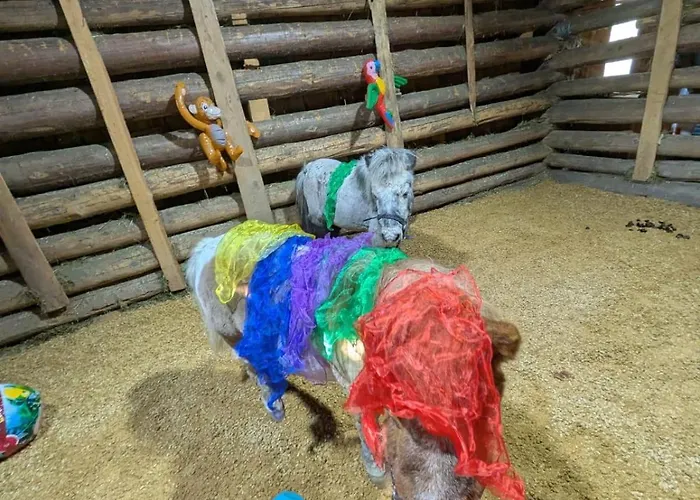 Apartment Zom Ruaba *