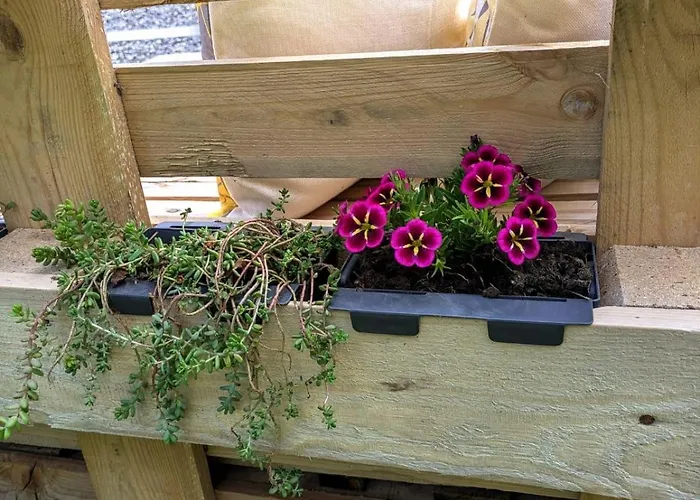 Zom Ruaba Apartment Bartholomaeberg